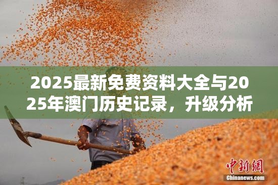 2025最新免費資料大全與2025年澳門歷史記錄，升級分析、專家解讀解釋與落實,謹(jǐn)防華而不實包裝