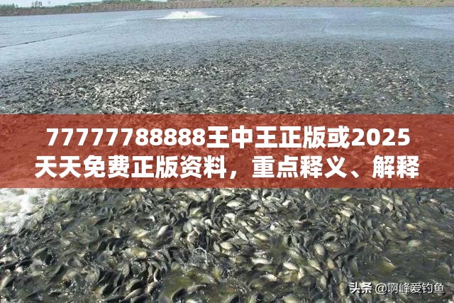 77777788888王中王正版或2025天天免費(fèi)正版資料，重點(diǎn)釋義、解釋與落實(shí),警惕不實(shí)的釣魚鉤