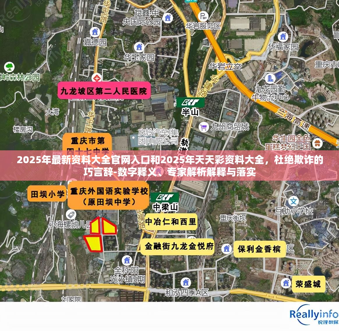 2025年最新資料大全官網(wǎng)入口和2025年天天彩資料大全，杜絕欺詐的巧言辭-數(shù)字釋義、專家解析解釋與落實(shí)