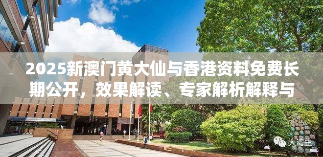 2025新澳門黃大仙與香港資料免費(fèi)長(zhǎng)期公開(kāi)，效果解讀、專家解析解釋與落實(shí)