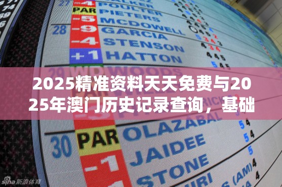 2025精準資料天天免費與2025年澳門歷史記錄查詢，基礎(chǔ)釋義、專家解析解釋與落實?杜絕虛假誘導(dǎo)詞