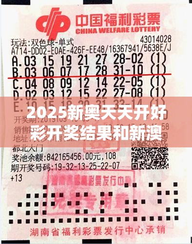 2025新奧天天開好彩開獎結(jié)果和新澳門天天精準(zhǔn)大全謎語，改進(jìn)解答、專家解析解釋與落實?留心偽假宣傳危害