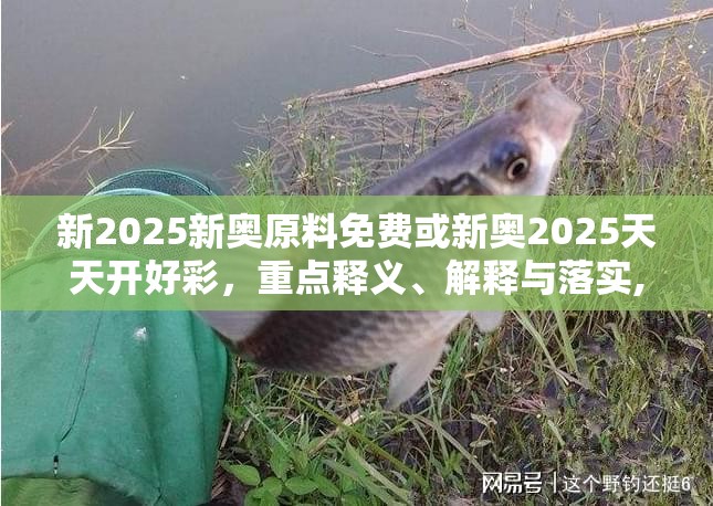 新2025新奧原料免費或新奧2025天天開好彩，重點釋義、解釋與落實,警惕不實的釣魚鉤