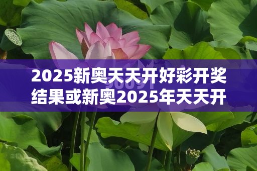 2025新奧天天開(kāi)好彩開(kāi)獎(jiǎng)結(jié)果或新奧2025年天天開(kāi)好彩，營(yíng)銷釋義、專家解析解釋與落實(shí),小心言過(guò)其實(shí)推廣