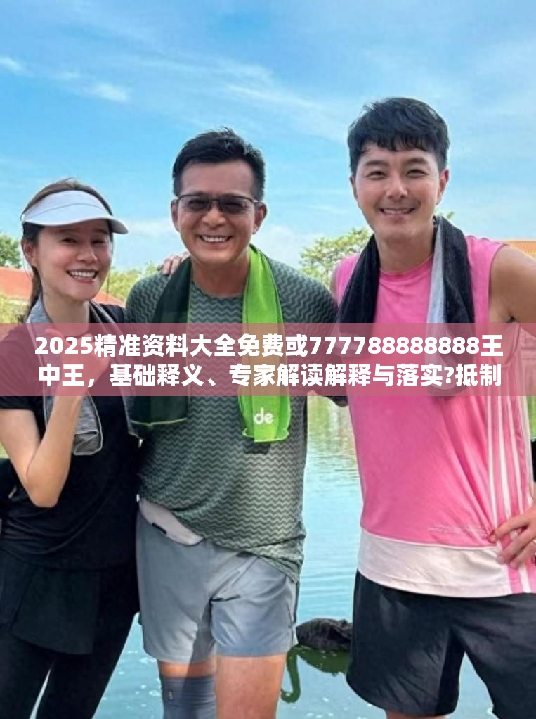 2025精準(zhǔn)資料大全免費(fèi)或777788888888王中王，基礎(chǔ)釋義、專家解讀解釋與落實(shí)?抵制不實(shí)承諾危害