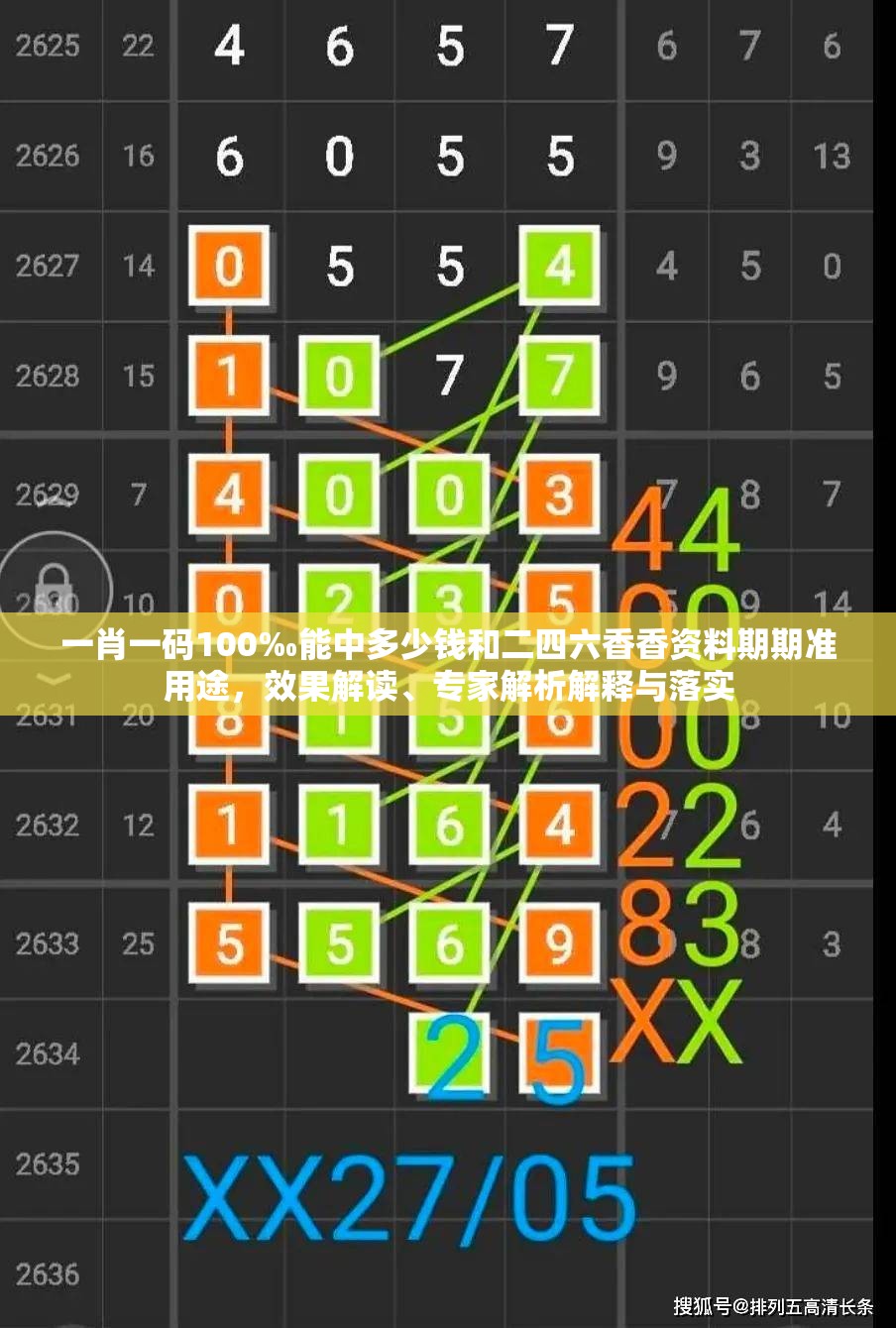 一肖一碼100‰能中多少錢(qián)和二四六香香資料期期準(zhǔn)用途，效果解讀、專(zhuān)家解析解釋與落實(shí)