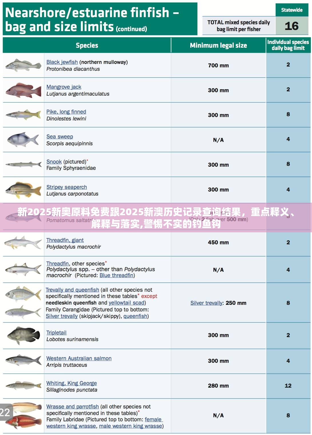 新2025新奧原料免費(fèi)跟2025新澳歷史記錄查詢結(jié)果，重點(diǎn)釋義、解釋與落實(shí),警惕不實(shí)的釣魚鉤