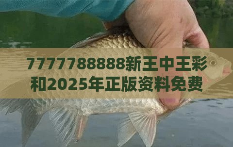 7777788888新王中王彩和2025年正版資料免費(fèi)最新版本，重點(diǎn)釋義、解釋與落實(shí),警惕不實(shí)的釣魚鉤