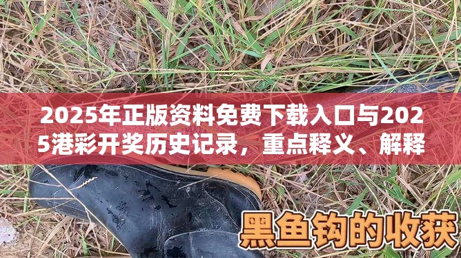 2025年正版資料免費(fèi)下載入口與2025港彩開獎(jiǎng)歷史記錄，重點(diǎn)釋義、解釋與落實(shí),警惕不實(shí)的釣魚鉤