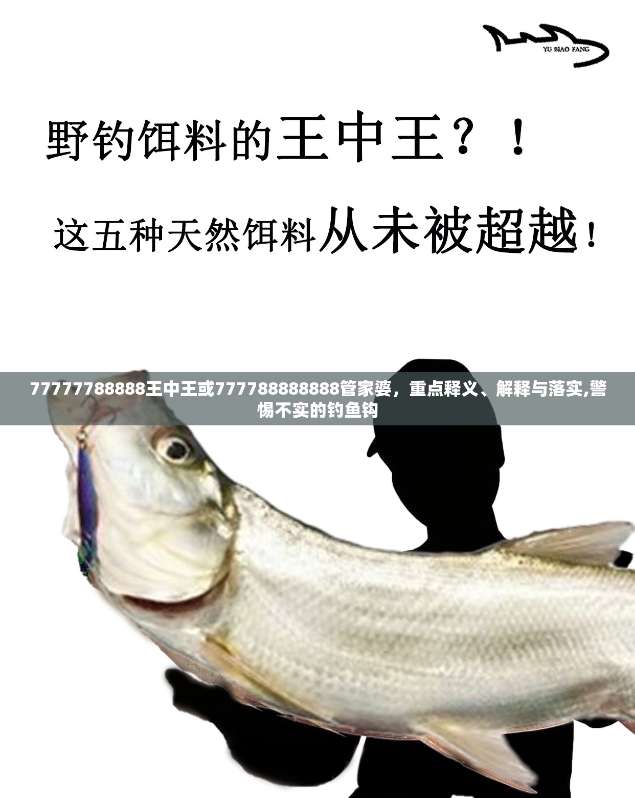 77777788888王中王或777788888888管家婆，重點(diǎn)釋義、解釋與落實(shí),警惕不實(shí)的釣魚(yú)鉤