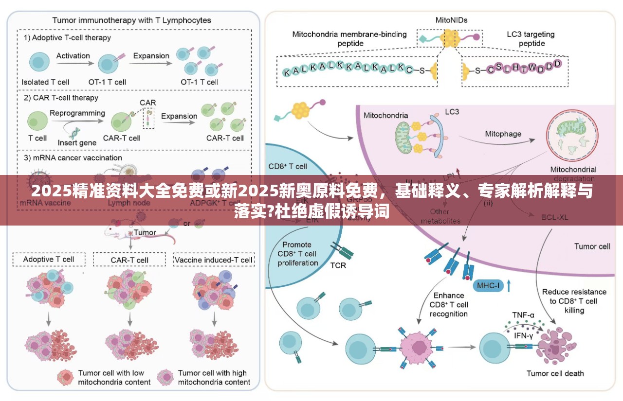 2025精準(zhǔn)資料大全免費(fèi)或新2025新奧原料免費(fèi)，基礎(chǔ)釋義、專家解析解釋與落實(shí)?杜絕虛假誘導(dǎo)詞