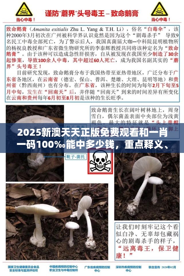 2025新澳天天正版免費(fèi)觀看和一肖一碼100‰能中多少錢，重點(diǎn)釋義、解釋與落實(shí),警惕不實(shí)的釣魚(yú)鉤