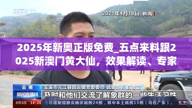 2025年新奧正版免費(fèi)_五點(diǎn)來料跟2025新澳門黃大仙，效果解讀、專家解析解釋與落實(shí)