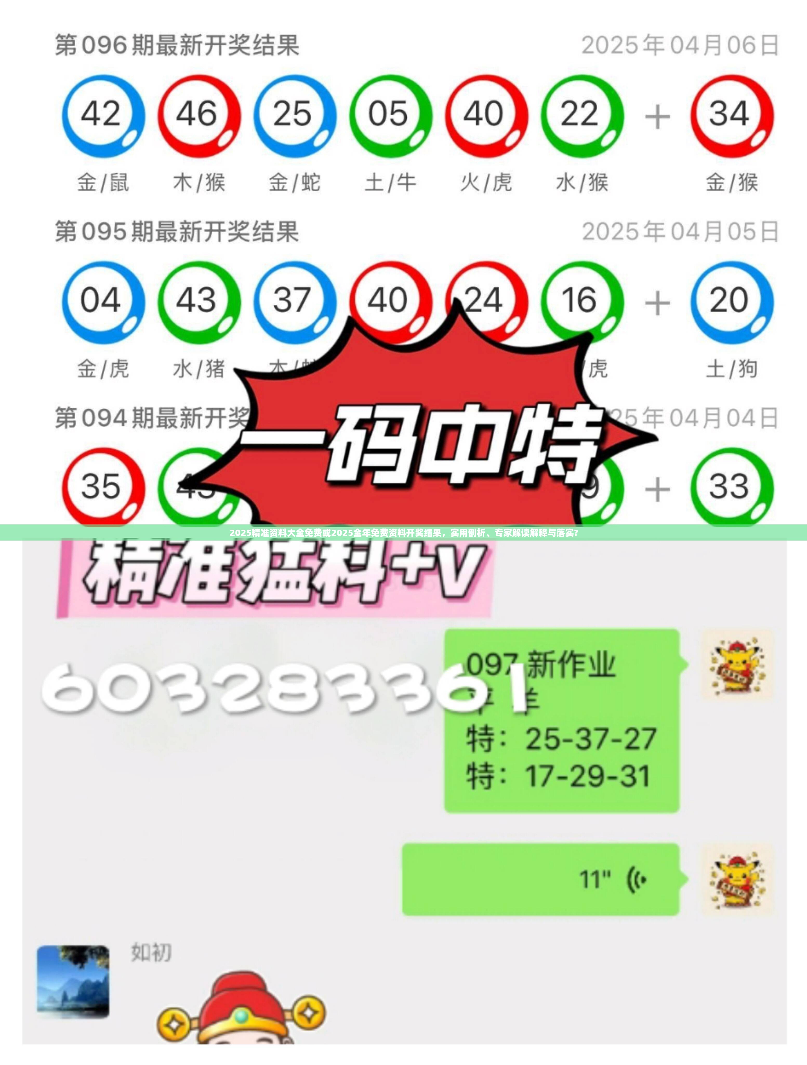 2025精準資料大全免費或2025全年免費資料開獎結(jié)果，實用剖析、專家解讀解釋與落實?
