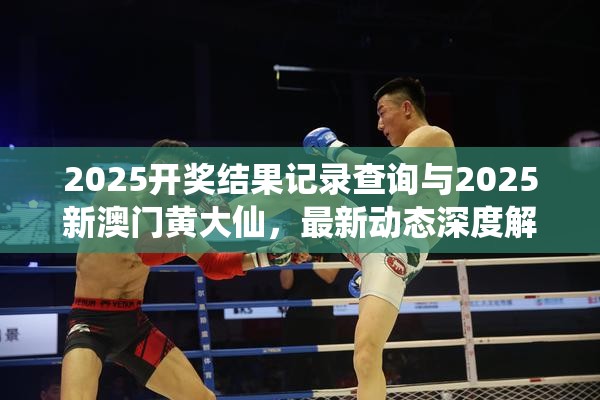 2025開獎結果記錄查詢與2025新澳門黃大仙，最新動態(tài)深度解析與前瞻視頻報道