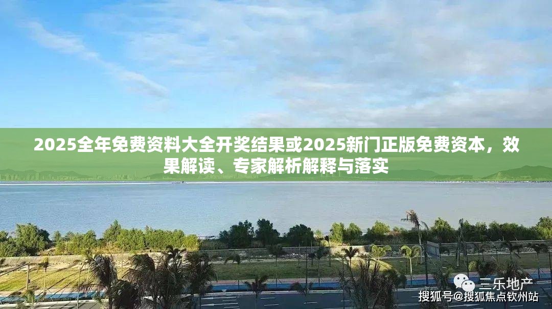 2025全年免費(fèi)資料大全開獎結(jié)果或2025新門正版免費(fèi)資本，效果解讀、專家解析解釋與落實