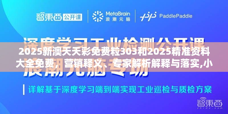 2025新澳天天彩免費(fèi)粒303和2025精準(zhǔn)資料大全免費(fèi)，營(yíng)銷釋義、專家解析解釋與落實(shí),小心言過其實(shí)推廣