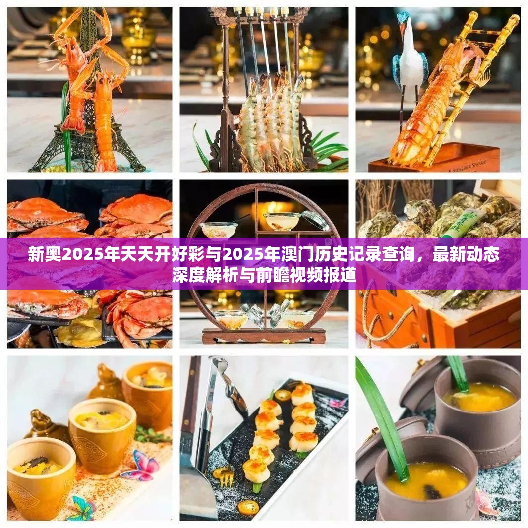 新奧2025年天天開(kāi)好彩與2025年澳門(mén)歷史記錄查詢(xún)，最新動(dòng)態(tài)深度解析與前瞻視頻報(bào)道