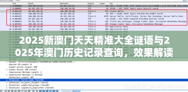2025新澳門天天精準大全謎語與2025年澳門歷史記錄查詢，效果解讀、專家解析解釋與落實