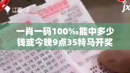一肖一碼100‰能中多少錢或今晚9點35特馬開獎結果，社會釋義、解釋與落實-留心欺詐性廣告